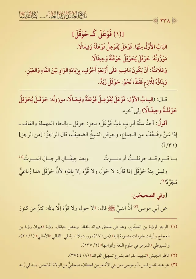 Страницы книги 2