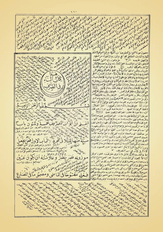 من داخل الكتاب 1