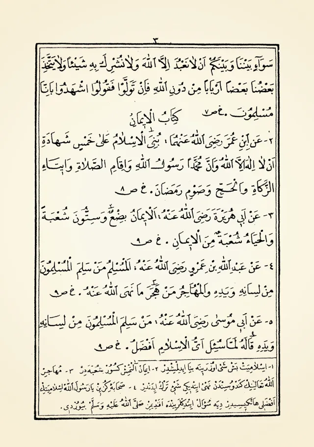 Kitaptan sayfalar 2